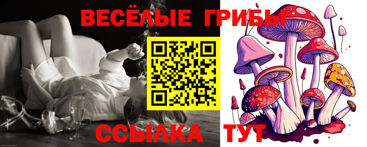 Карталы  Псилоцибиновые грибы Cubensis  Вход с VPN 