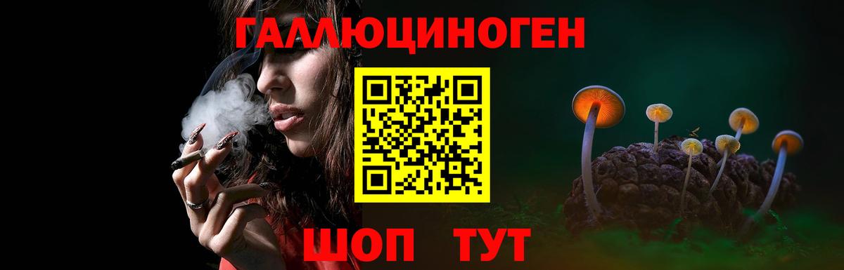 Псилоцибиновые грибы GOLDEN TEACHER Карталы